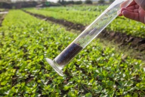 (Image: Soil testing via Shutterstock)