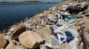 Washed-up plastic bags along the Los Angeles River Josh Morgan/AP