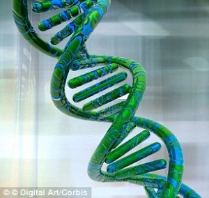 In 2013, researchers from Cambridgeshire 'downloaded' all 154 of Shakespeare's sonnets on to strands of synthetic DNA (illustrated) Read more: http://www.dailymail.co.uk/sciencetech/article-2955663/Death-hard-drive-Scientists-store-data-inside-DNA-MILLIONS-years.html#ixzz3S5FmTO8u Follow us: @MailOnline on Twitter | DailyMail on Facebook 