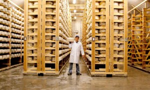 In the shared cellars at Jasper Hill Farm, cheese from their own creamery and others around the area ripen.  Credit:  Jasper Hill Farm.