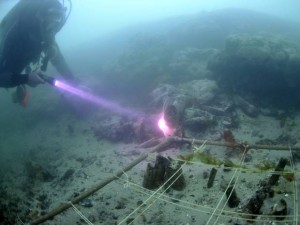 Scientific tests suggest that a major aspect of the Neolithic agricultural revolution may have reached Britain 2000 years earlier than previously thought. Credit: The Independent (U.K.)