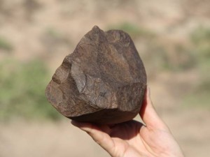 Worked stone implement dating back 3.3 million years, 700,000 years earlier, before the Homo genus emerged. Credit: The Independent