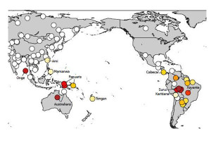 Deep genetic affinities between Amazonian populations in South America, and Australasians; warmer colors indicate the strongest affinities. Credit: Pontus Skoglund, Harvard Medical School 