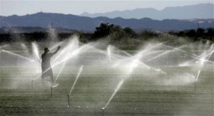 In this Nov. 14, 2006 photo, a farm worker adjusts the irrigation system that borders the Sonny Bono Salton Sea National Wildlife Refuge in Calipatria, Calif. A U.S. Geological Survey released gives public-policy-makers the first sweeping look at the extent to which agricultural irrigation, industrial pollutants and other uses of groundwater are adding to problems for underground water reserves, now under heavy demand in California's drought.  Credit: Chris Carlson/ AP  