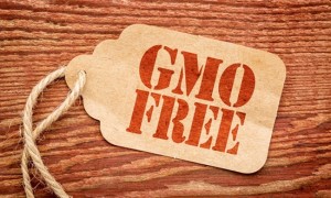 GMO Free label