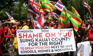 After four separate attempts to rein in the companies failed, an estimated 10,000 people marched through Honolulu’s Waikiki tourist district.  Credit: Christopher Pala for the Guardian 