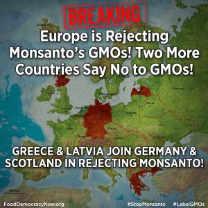 GMO ban