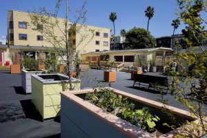 The navigation center now has a series of planter boxes and murals throughout the facility. Credit: www.sfchronicle.com