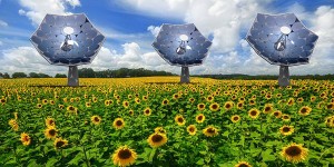  The Solar Sunflower has a pretty design, but it's the technology behind it that really makes it shine.  Credit: via IBM.com