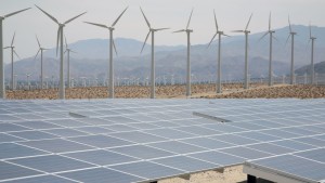 A solar windfarm Credit: Shutterstock