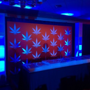 A marijuana poster is on display at the High Times Gala at the W Hotel in Washington, D.C Credit: Ben Terris /The Washington Post