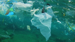 plastic in ocean