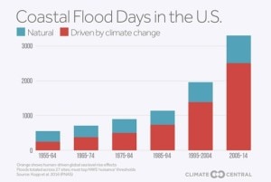 Coastal Flooding chart