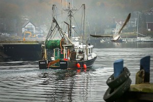 Fishing boat in Gloucester, Massachusetts 