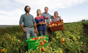 Programs across the country are trying to make it easier for new farmers to get started and put down roots. Here’s why: There’s only one farmer under 35 for every six over 65. By 2030, one-quarter of America’s current farmers will retire. 