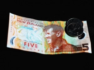 New  Zealand money Credit: The Independent