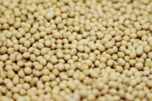 A bushel of soybeans are shown on display in the Monsanto research facility in Creve Coeur, Missouri, July 28, 2014.   Credit: Reuters/Tom Gannam