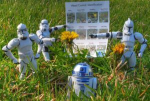 star-wars-weed-control.jpg.662x0_q70_crop-scale