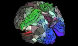  A new map based on brain scan data collected by the Human Connectome Project. The data revealed 180 new regions. Credit Matthew F. Glasser, David C. Van Essen 