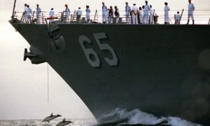  Dolphins in front of US Navy ship Benfold. Marine life will now be protected from Navy sonar. Credit: Mark Wilson/Reuters 