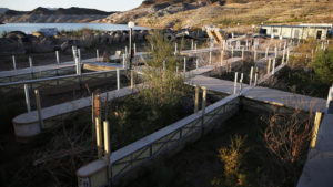 Vegetation grows between boat slips at the now-defunct Echo Bay Marina in the Lake Mead National Recreation Area near Las Vegas. Credit: John Locher / AP