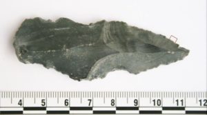 A stone blade containing traces of rhino residue. Credit: April Nowell