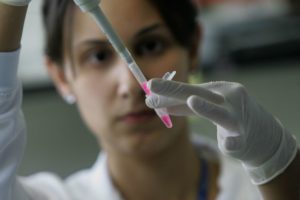 A researcher extracts the RNA from embryonic stem cells. Credit: Mauricio Lima