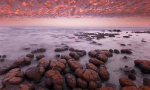  Stromatolites at dawn, Shark Bay, Western Australia. . Credit: Mint Images/REX/Shutterstock 