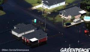 Houses surrounded by water in St. Augustine, Florida Oct. 8 in the aftermath of Hurricane Matthew. Credit: Marc Serota / Greenpeace