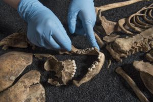 Parts of a skeleton found at Lant Street Museum of London