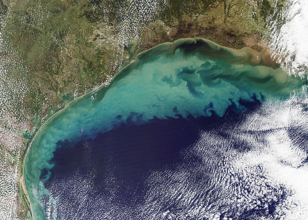 Gulf Of Mexico Dead Zone Threatens To Reach The Size Of Massachusetts   Gulf Of Mexico 